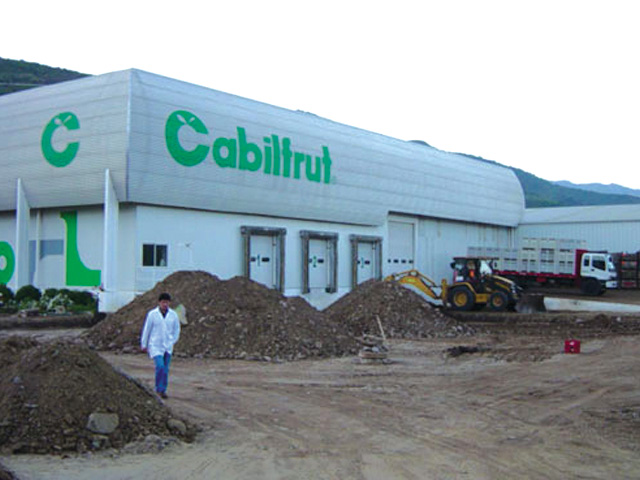 Cabilfrut